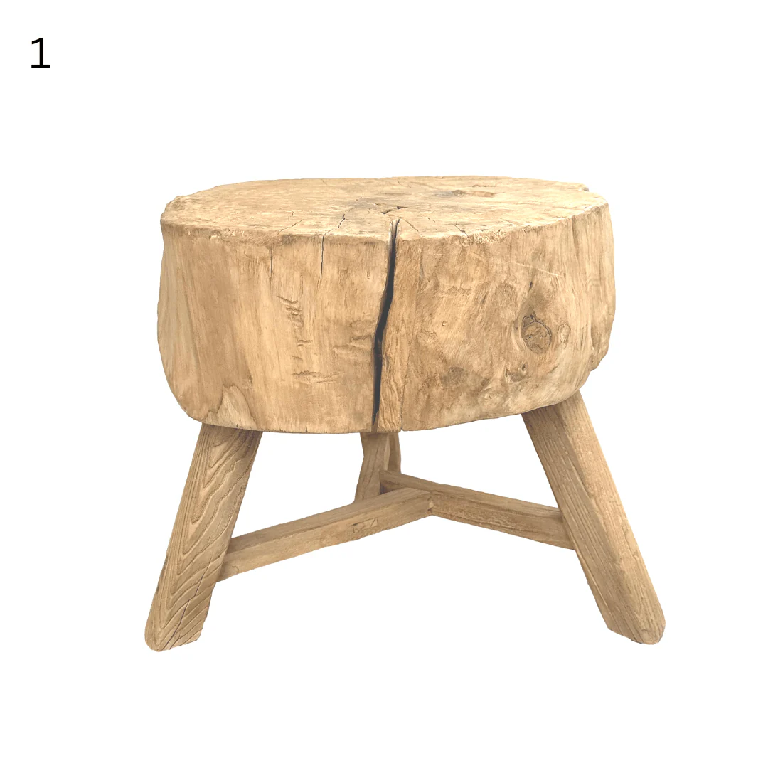 Elm Tree Trunk Side Table - Image 6